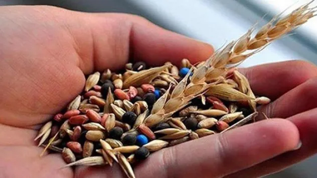 Bitkisel üretim destek ödemelerinde süre uzatımı