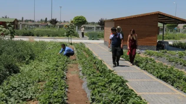 Büyükşehir'den organik hizmet