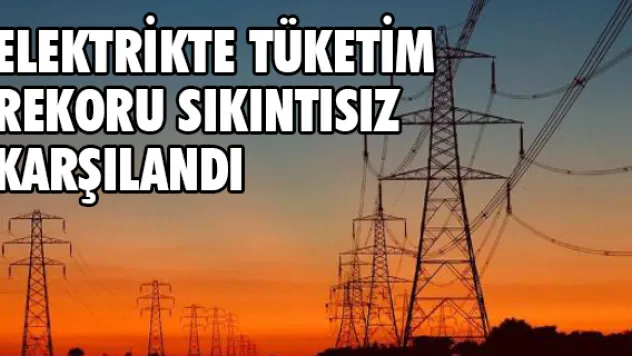 Elektrikte tüketim rekoru sıkıntısız karşılandı