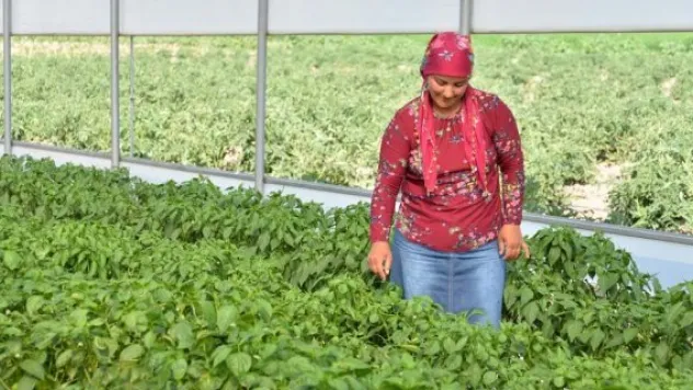 Genç Çiftçi Projesinde ilk mahsul yüzleri güldürdü