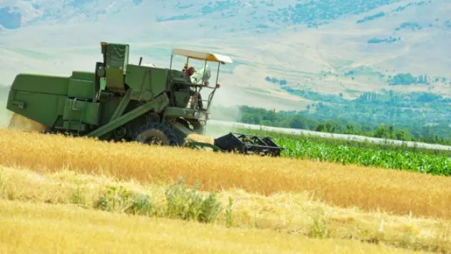 Hububat hasadı başladı
