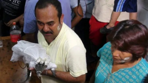 Meksikalı Belediye Başkanı, Yavru Bir Timsahla Evlendi