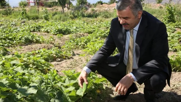 Organik Bahçe'de sona gelindi