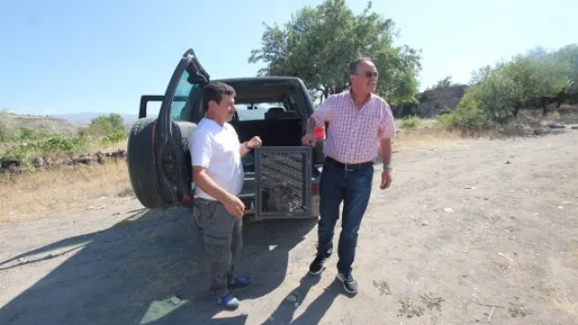 Tedavisi tamamlanan kartal özgürlüğüne kanat açtı