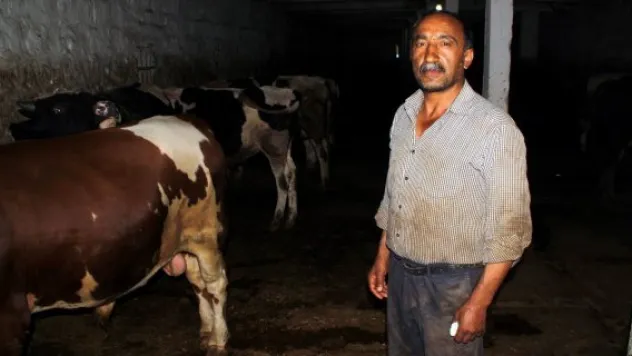 Araba fiyatına kurbanlık