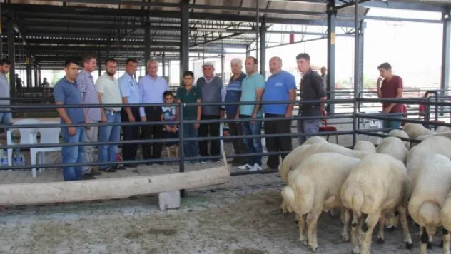Başkan Karayol Hayvan Pazarını ziyaret etti