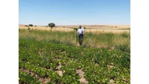 Genç Çiftçi Proje ziyaretleri sürüyor
