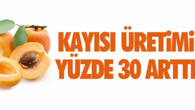 KAYISI ÜRETiMi YÜZDE 30 ARTTI