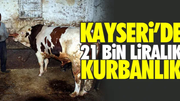 KAYSERi'DE 21 BiN LiRALIK KURBANLIK