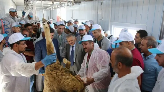 Melikgazi Belediyesinden kurban kesim kursu