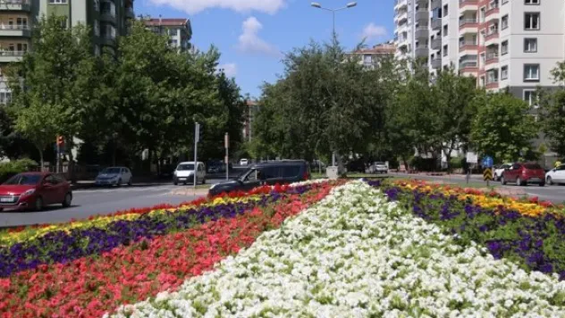 2018'de Melikgazi çiçek açacak
