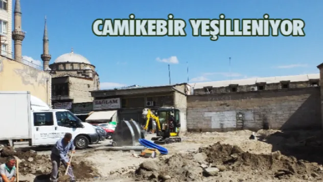 Camikebir yeşilleniyor