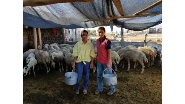 Tatilde dinlenmek yerine çalıştılar