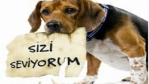 Biz hayvanlara zarar vermedikçe onlar bize zarar vermez