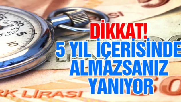 Dikkat! 5 yıl içerisinde almazsanız yanıyor
