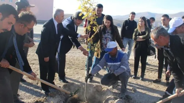 Pınarbaşı'nda her öğrencinin bir ağacı olacak