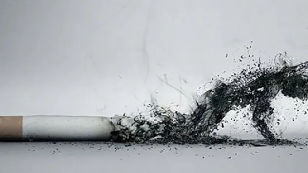 257 milyarımız duman oldu