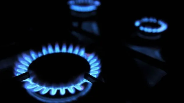 Enerji faturasının asgari ücret içindeki payı azaldı