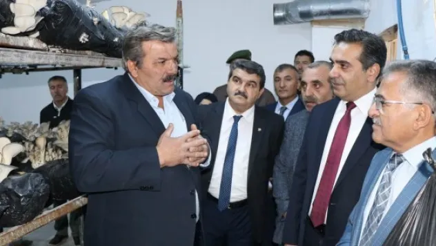 Kayseri İstiridye mantarının üretim merkezi olacak