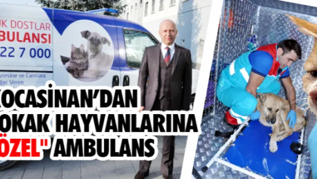 Kocasinan'dan sokak hayvanlarına &quotözel&quot ambulans