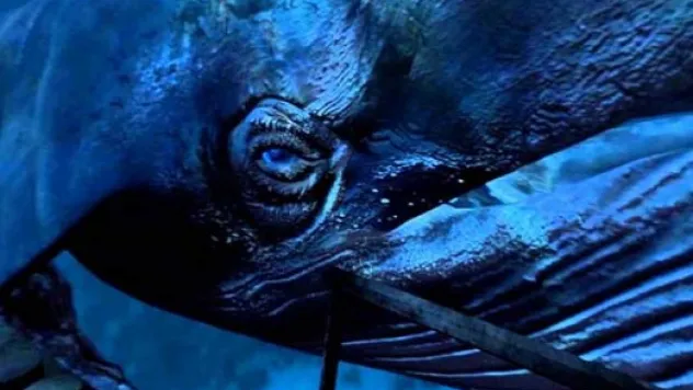 'Mavi Balina' uzmanları ikiye ayırdı