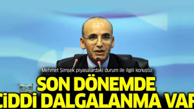 Şimşek: Son dönemde ciddi dalgalanmalar var