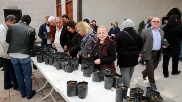 Talas yeniden 'karadut' diyarı olacak