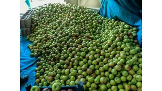 Talas'taki projeler meyvelerini vermeye başladı