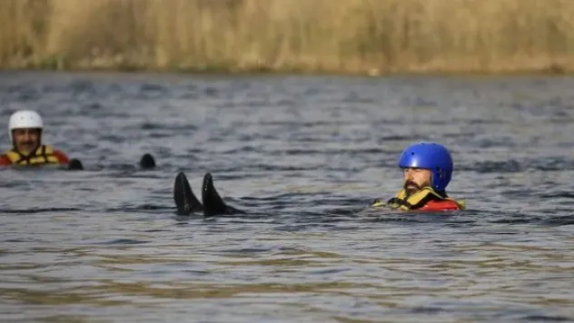 Türkuaz'da eğitimler devam ediyor