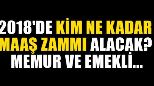 2018'de kim ne kadar maaş zammı alacak? Memur ve emekli...