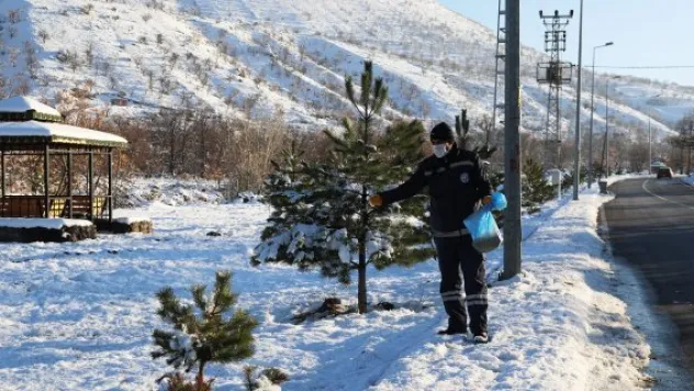 Talas Belediyesi  sokak hayvanlarını unutmadı