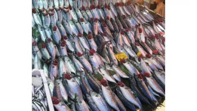 Yeterince balık tüketmiyoruz