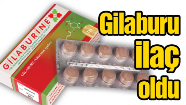 Gilaburu ilaç oldu