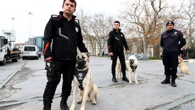 'Kangal köpeği ısırmaz, teslim alır'