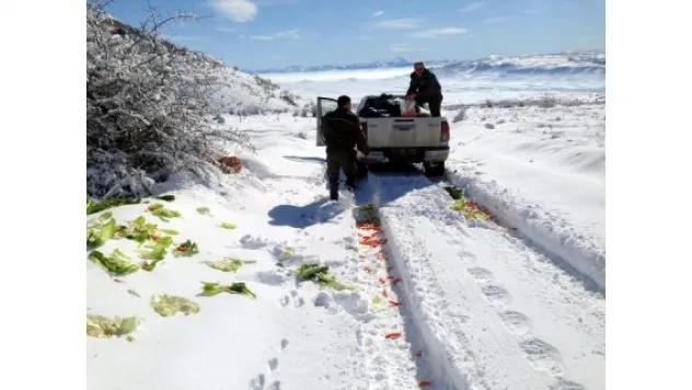 Yaban hayvanları için yem bırakıldı