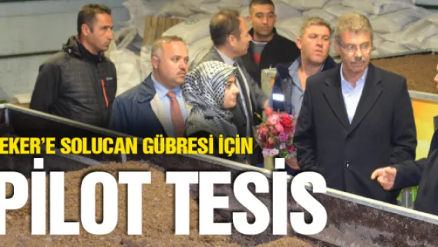Şeker'e solucan gübresi için pilot tesis
