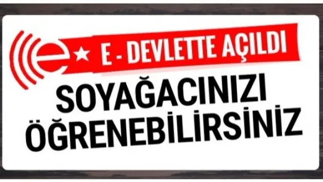 Soyağacı sorgulama hizmeti büyük ilgi çekti