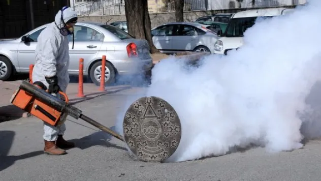 Talas'ta haşereyle mücadele çalışmaları başladı