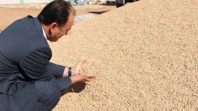 Tohum üretimimiz bir milyon tonu aştı