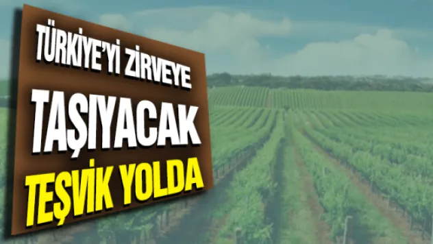 Türkiye'yi zirveye taşıyacak teşvik yolda