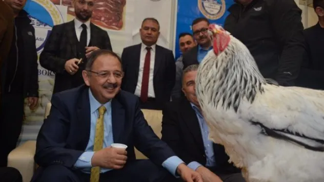 Bakan Özhaseki şampiyonu elleriyle besledi