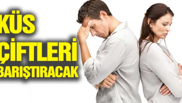 Diyanet, küs çiftleri barıştıracak