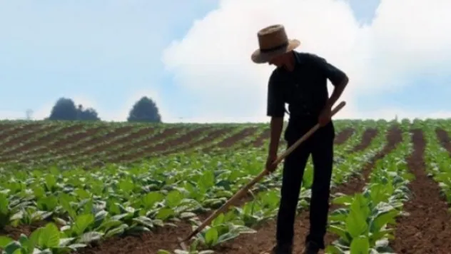 'Genç Çiftçi' destekleri başlıyor
