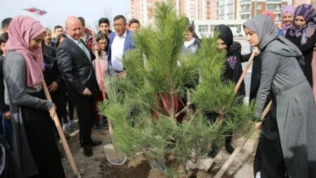 'Hedefimiz 2018 yılında 120 bin ağaç dikmektir'