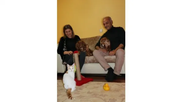 Kedi ve köpeklerin dostluğu görenleri şaşırtıyor&nbsp