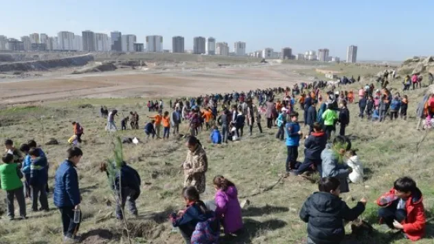 Melikgazi'de 25 bin fidan toprakla buluşacak