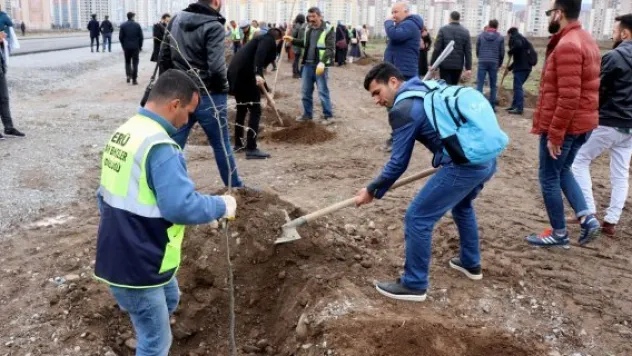 Öğrenciler Afrin ve El Bab şehitleri için ağaç dikti