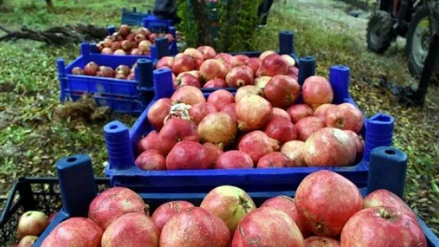 Rusya'ya ihracatta Türkiye'den resmi adım