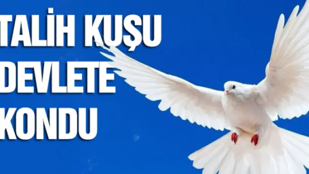 Talih kuşu devlete kondu 