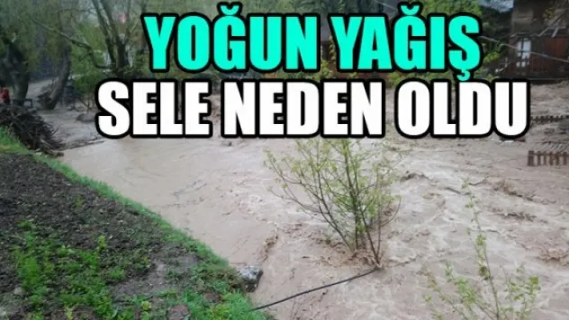 YOĞUN YAĞIŞ SELE NEDEN OLDU